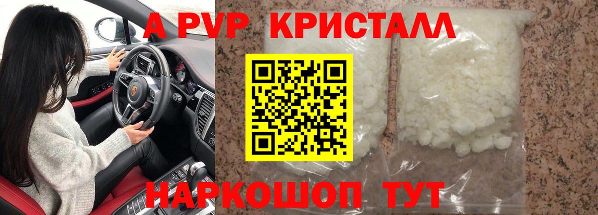 Альфа ПВП СК Махачкала