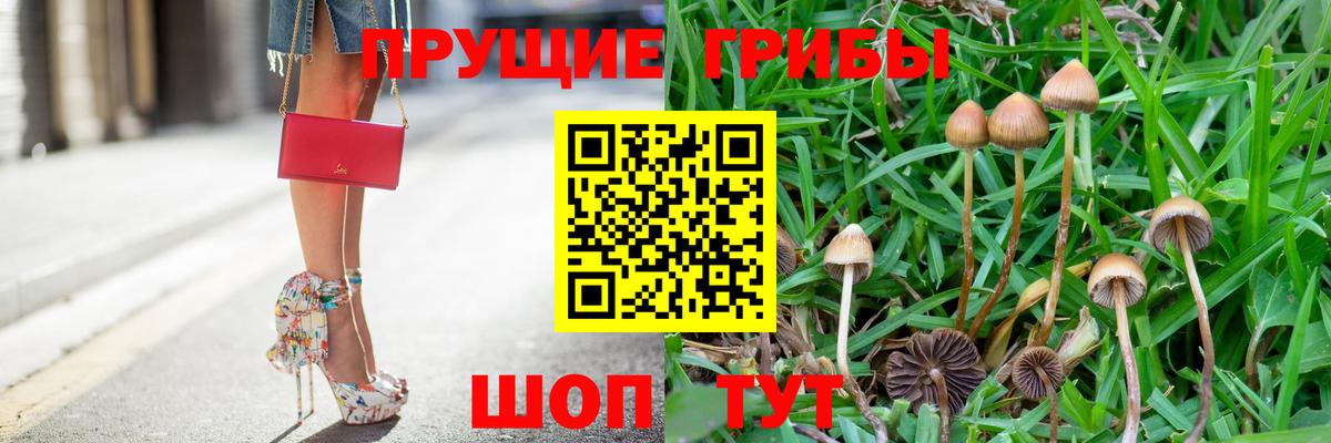 Галлюциногенные грибы GOLDEN TEACHER Махачкала