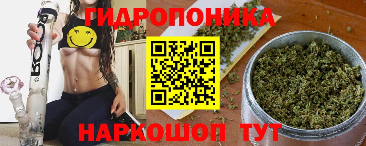Бошки Шишки MAZAR Махачкала